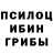 Псилоцибиновые грибы Psilocybine cubensis Serv1nGD