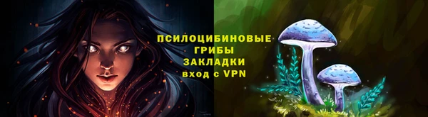 спиды Абдулино