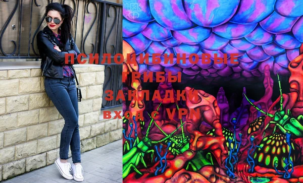 мдпв Приозерск