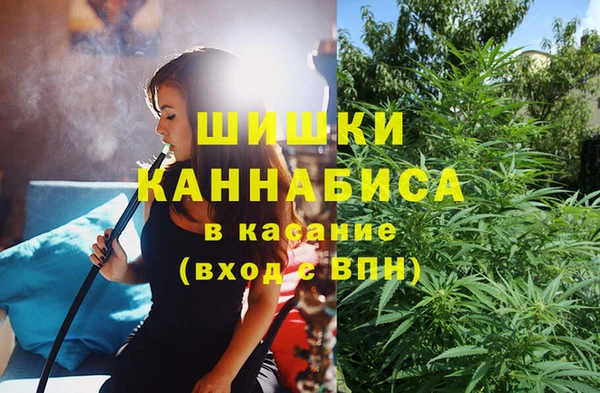 тгк Елизово