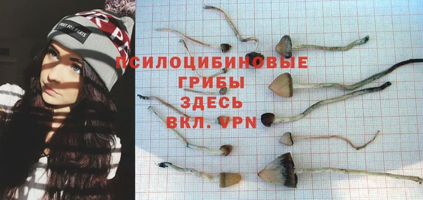 спиды Абдулино