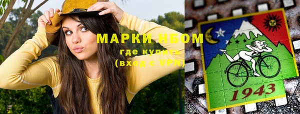 дурь Сатка