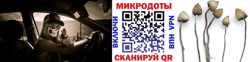 Псилоцибиновые грибы Psilocybe  Монино 